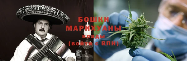 мдпв Осташков