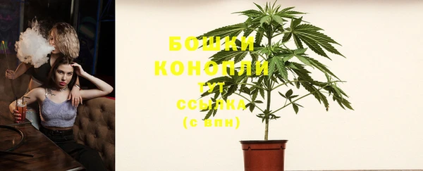 мдпв Осташков