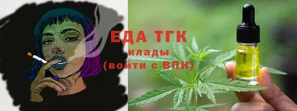 мдпв Осташков