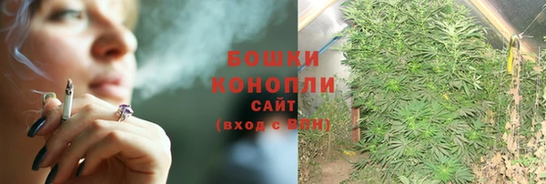 мдпв Осташков