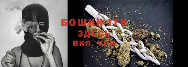 мдпв Осташков